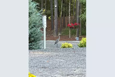 7516 Apex Barbecue Road, Apex, NC 27502 - Photo 35