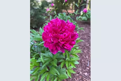 7516 Apex Barbecue Road, Apex, NC 27502 - Photo 39