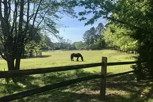 7516 Apex Barbecue Rd, Apex, NC 27502 - Photo 29