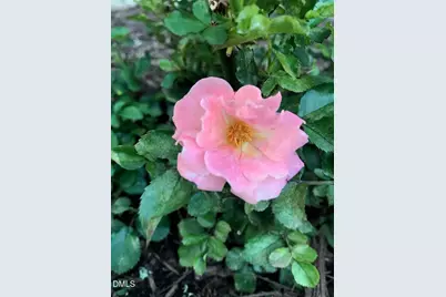 7516 Apex Barbecue Road, Apex, NC 27502 - Photo 37