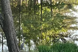 7516 Apex Barbecue Rd, Apex, NC 27502 - Photo 27