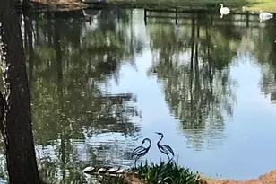 7516 Apex Barbecue Rd, Apex, NC 27502 - Photo 7