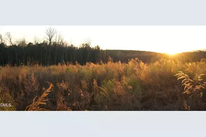 1110 Pleasant Hill Church Road, Siler City, NC 27344 - Photo 9