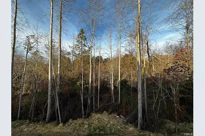 95 Saddleback Road, Angier, NC 27526 - Photo 43