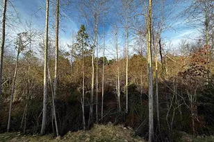 95 Saddleback Rd, Angier, NC 27526 - Photo 43