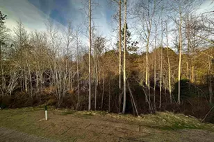 95 Saddleback Rd, Angier, NC 27526 - Photo 21