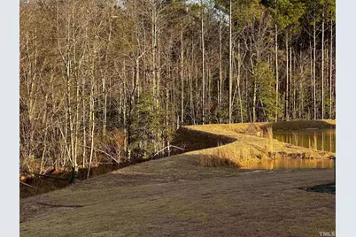 95 Saddleback Road, Angier, NC 27526 - Photo 11