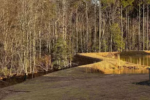 95 Saddleback Rd, Angier, NC 27526 - Photo 11