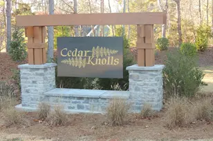 1234 Red Cedar Ct, Youngsville, NC 27596 - Photo 27