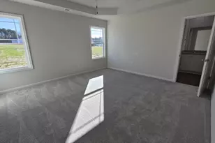 313 Bonsai Wy, Four Oaks, NC 27524 - Photo 9