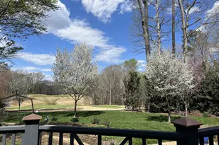 4816 Salem Ridge Rd, Holly Springs, NC 27540 - Photo 55