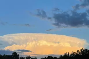 735 Cross Link Dr, Angier, NC 27501 - Photo 47