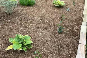 735 Cross Link Dr, Angier, NC 27501 - Photo 59