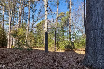 124 Rosewall Lane, Cary, NC 27511 - Photo 31