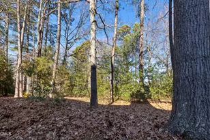 124 Rosewall Ln, Cary, NC 27511 - Photo 31