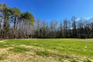 169 Mangrove Ct, Four Oaks, NC 27524 - Photo 11