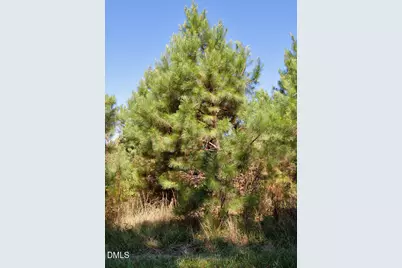 1 Nc Highway 33, Tarboro, NC 27886 - Photo 13