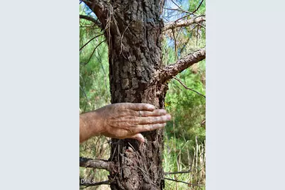 1 Nc Highway 33, Tarboro, NC 27886 - Photo 27