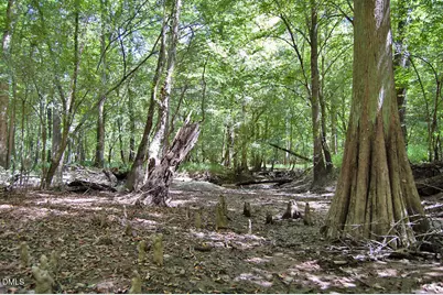 2 Nc Highway 33, Tarboro, NC 27886 - Photo 49