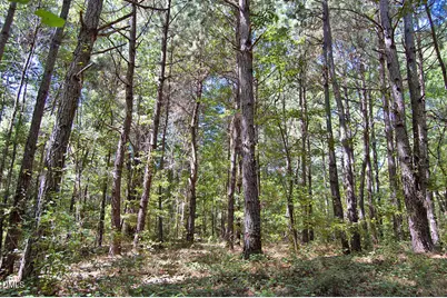 2 Nc Highway 33, Tarboro, NC 27886 - Photo 19