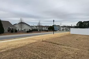 54 Horseshoe Pl, Angier, NC 27501 - Photo 39