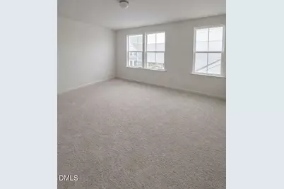 54 Horseshoe Place, Angier, NC 27501 - Photo 5