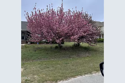 60 Sandy Tingen Court, Broadway, NC 27505 - Photo 21