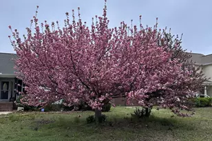60 Sandy Tingen Ct, Broadway, NC 27505 - Photo 19