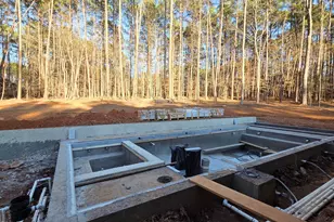 6448 Sanctuary Fls Dr, Raleigh, NC 27614 - Photo 25