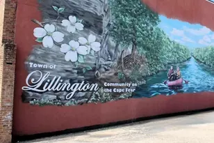 49 Galway Rd, Lillington, NC 27546 - Photo 37