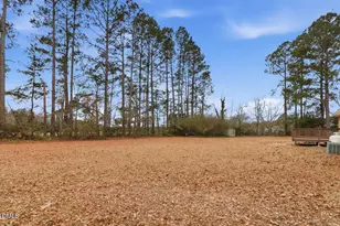 126 Camile Dr, Princeton, NC 27569 - Photo 21