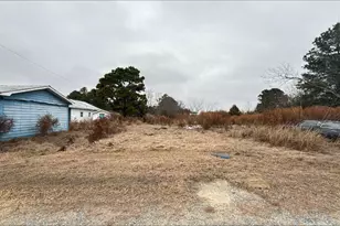 484 Yellow Skin Rd, Autryville, NC 28318 - Photo 1