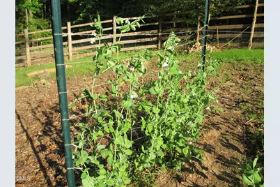 7709 Kittinger Court, Wake Forest, NC 27587 - Photo 31