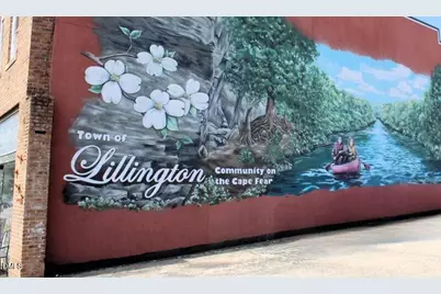 002 Galway Road, Lillington, NC 27546 - Photo 37