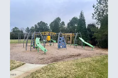 249 Ransfield Lane, Fuquay-Varina, NC 27526 - Photo 59