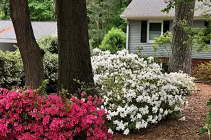 1009 Wilshire Dr, Cary, NC 27511 - Photo 53