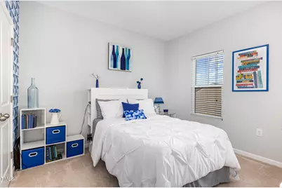 217 Jones Hill Road, Holly Springs, NC 27540 - Photo 19