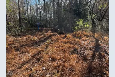 147 Charles Brown Road, Warrenton, NC 27589 - Photo 3