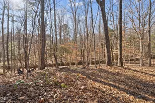 267 Ashley Woods Ct, Clayton, NC 27527 - Photo 45