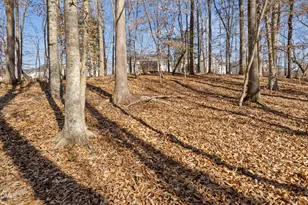 267 Ashley Woods Ct, Clayton, NC 27527 - Photo 49