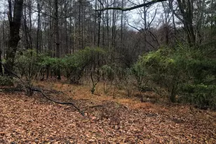 3829 US-70, Durham, NC 27703 - Photo 5