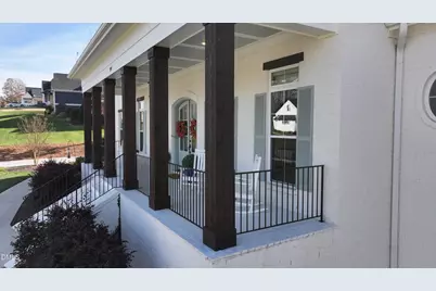 297 Diamante Drive, Clayton, NC 27527 - Photo 29