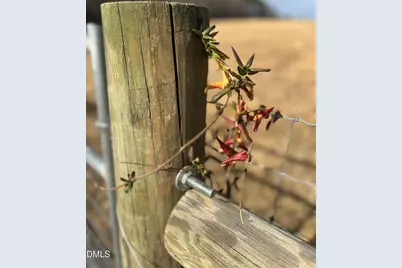 6061 River Run Trail, Graham, NC 27253 - Photo 31