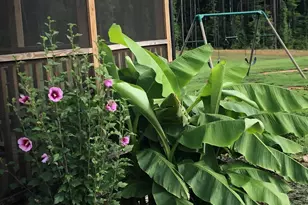 60 Robertson Stable Ln, Zebulon, NC 27597 - Photo 61