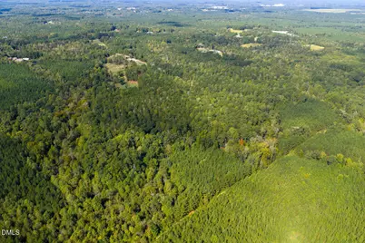 262 Ellis Road, Moncure, NC 27559 - Photo 23