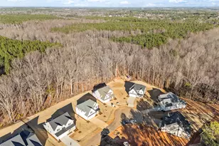 135 Vast View Wy, Youngsville, NC 27596 - Photo 5