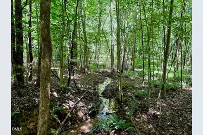 00 Stone Drive, Roxboro, NC 27573 - Photo 75