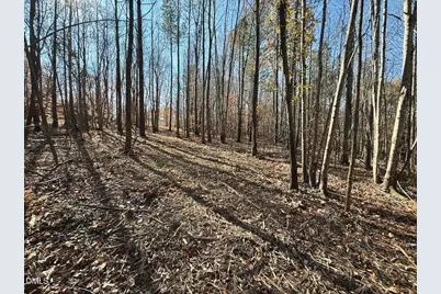 00 Stone Drive, Roxboro, NC 27573 - Photo 49
