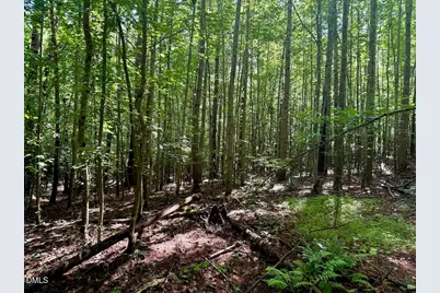 00 Stone Drive, Roxboro, NC 27573 - Photo 67