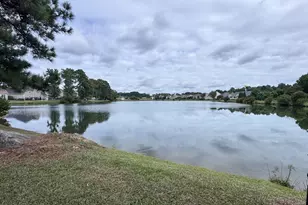 8901 Buffalo Gourd Ln, Angier, NC 27501 - Photo 11